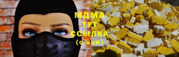 шишки Дмитриев
