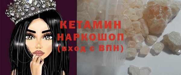 шишки Дмитриев
