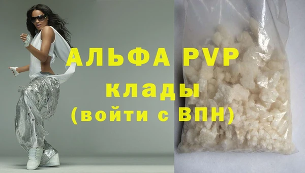 шишки Дмитриев