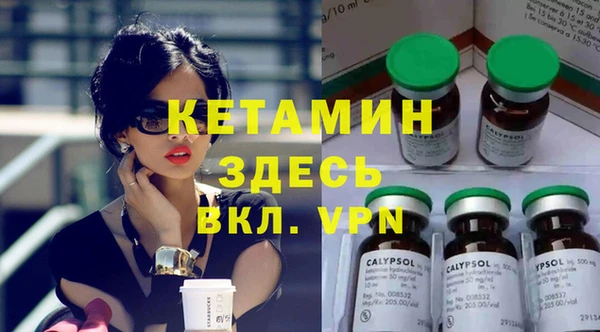 шишки Дмитриев
