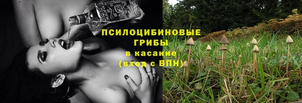 шишки Дмитриев