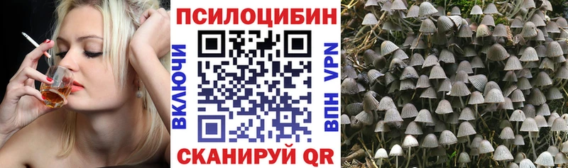 Псилоцибиновые грибы ЛСД  Купить закладки  Устюжна 